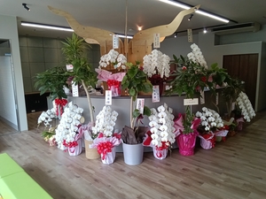 「新社屋にて営業開始！」の画像