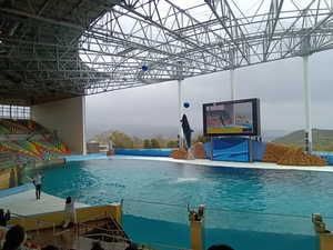 「社員旅行【和歌山】」の画像